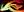 crest-ally-121.jpg
