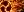 crest-ally-123.jpg