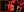 crest-ally-127.jpg