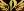 crest-ally-138.jpg