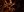 crest-ally-14.jpg