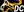 crest-ally-153.jpg