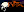 crest-ally-182.jpg
