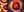 crest-ally-201.jpg