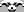 crest-ally-204.jpg