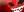 crest-ally-30.jpg