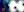 crest-ally-33.jpg