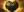 crest-ally-46.jpg