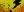 crest-ally-47.jpg