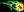 crest-ally-58.jpg
