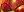 crest-ally-63.jpg