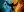 crest-ally-68.jpg