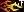crest-ally-99.jpg